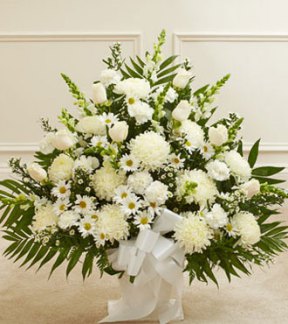 Tributes