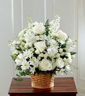 Tributes