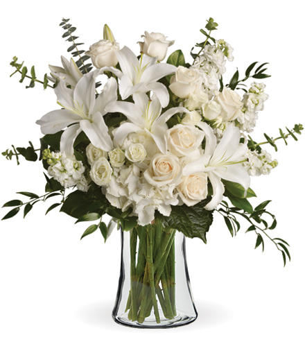 Dreams From the Heart