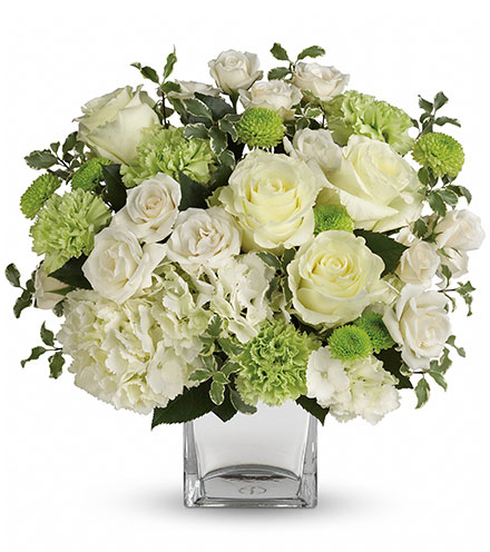 Tributes
