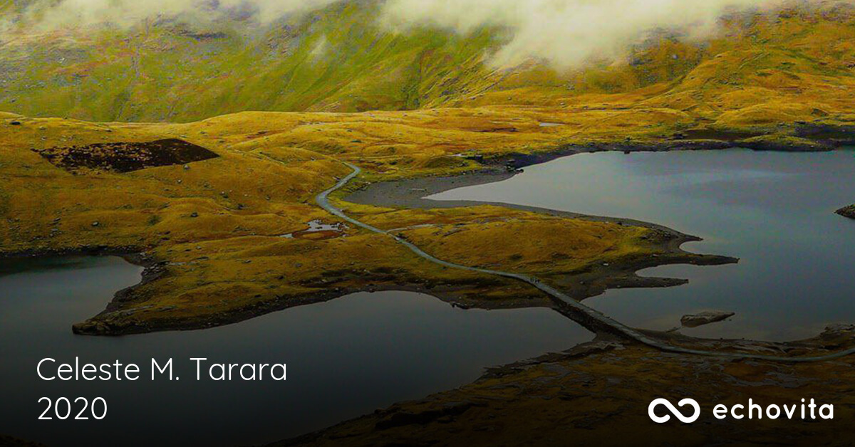 Celeste M Adkisson Tarara Obituary 2020 Rockland Massachusetts