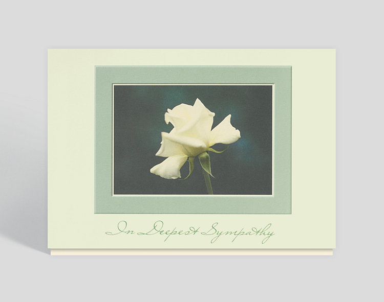 White Rose Sympathy Card - Sympathy Cards