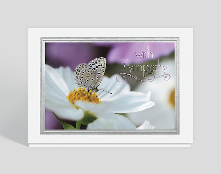 Butterfly Sympathy Card - Greeting Cards