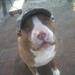 Words of sympathy