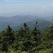 Words of sympathy