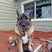 Words of sympathy