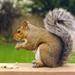 Words of sympathy