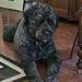 Words of sympathy