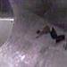 Words of sympathy