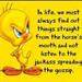 Words of sympathy