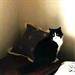 Words of sympathy