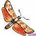 Words of sympathy