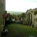 Words of sympathy