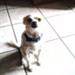 Words of sympathy