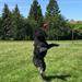 Words of sympathy